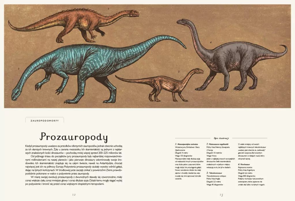 Dinozaurium. Muzeum dinozaurów - tantis.pl