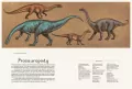 Dinozaurium. Muzeum dinozaurów - tantis.pl