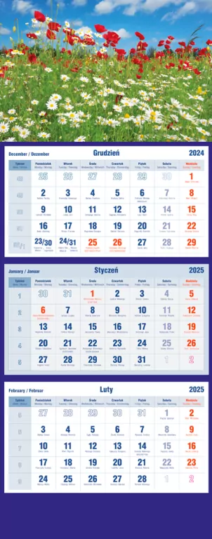 Kalendarz 2026 trójdzielny Sosenka - tantis.pl