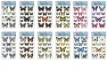 Naklejki motyle 60x31cm MIX - tantis.pl