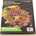 Papier ksero kolory fluorescencyjne A4 100 arkuszy (4 kolory po 25 arkuszy) - tantis.pl
