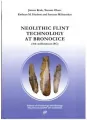 Neolithic Flint Technology at Bronocice (4th millennium BC) - tantis.pl