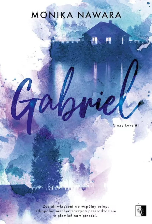 Gabriel. Crazy Love. Tom 1 - tantis.pl