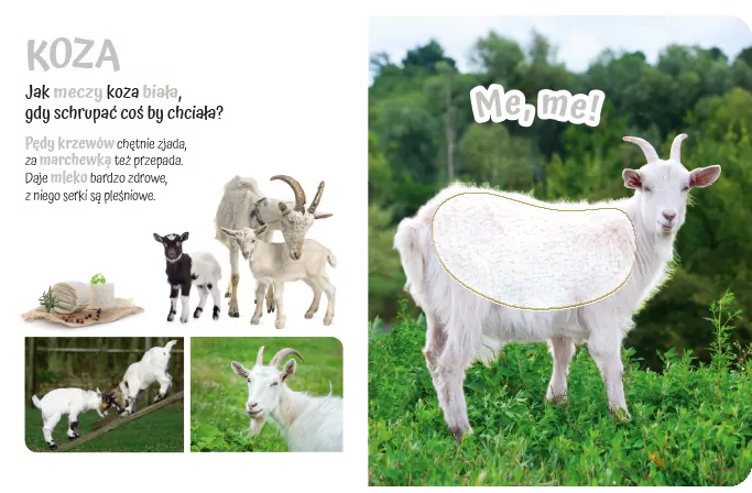 Pogłaszcz wiejskie zwierzątko. Przytulki - tantis.pl