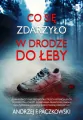 Co się zdarzyło w drodze do Łeby - tantis.pl