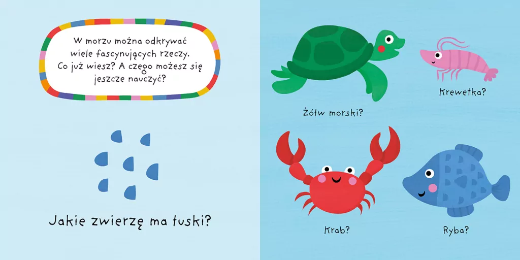 Mój kolorowy quiz. Morze - tantis.pl
