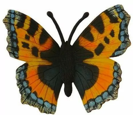 Motyl rusałka pokrzywnik - tantis.pl