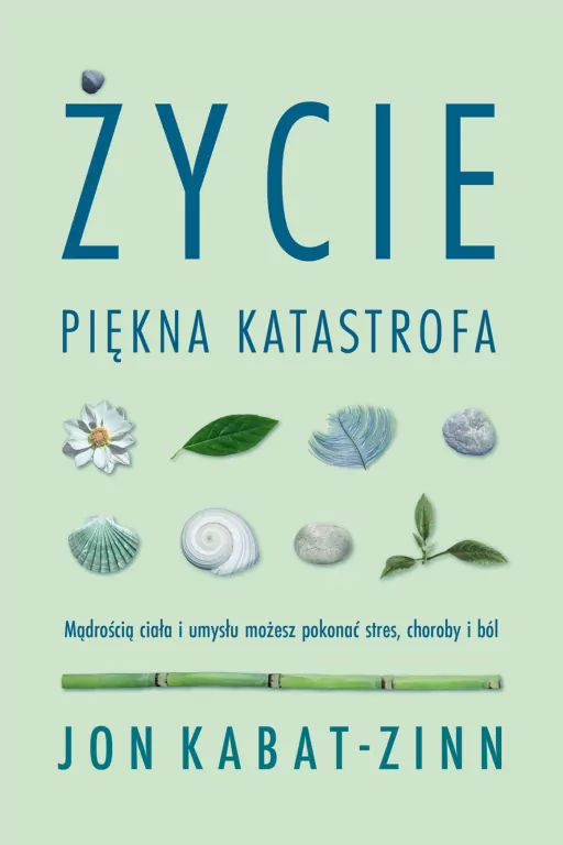 Życie, piękna katastrofa. Mądrością ciała i umysłu - tantis.pl