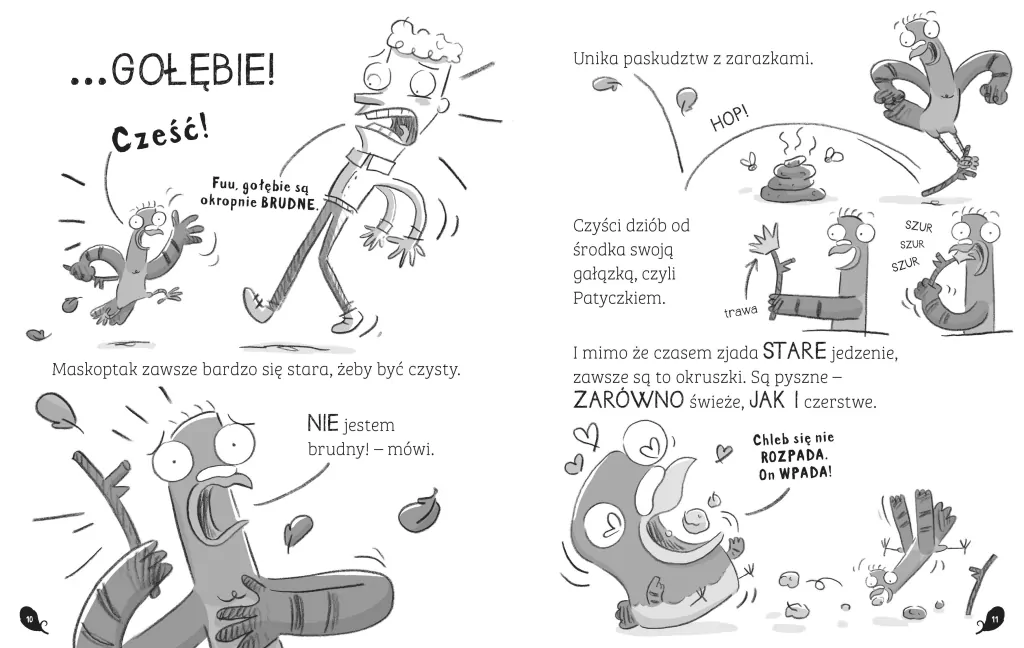 Odlotowe gołębie zadają dziobociosy - tantis.pl