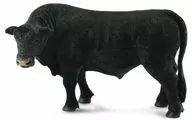 Byk czarny angus - tantis.pl