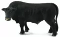 Byk czarny angus - tantis.pl