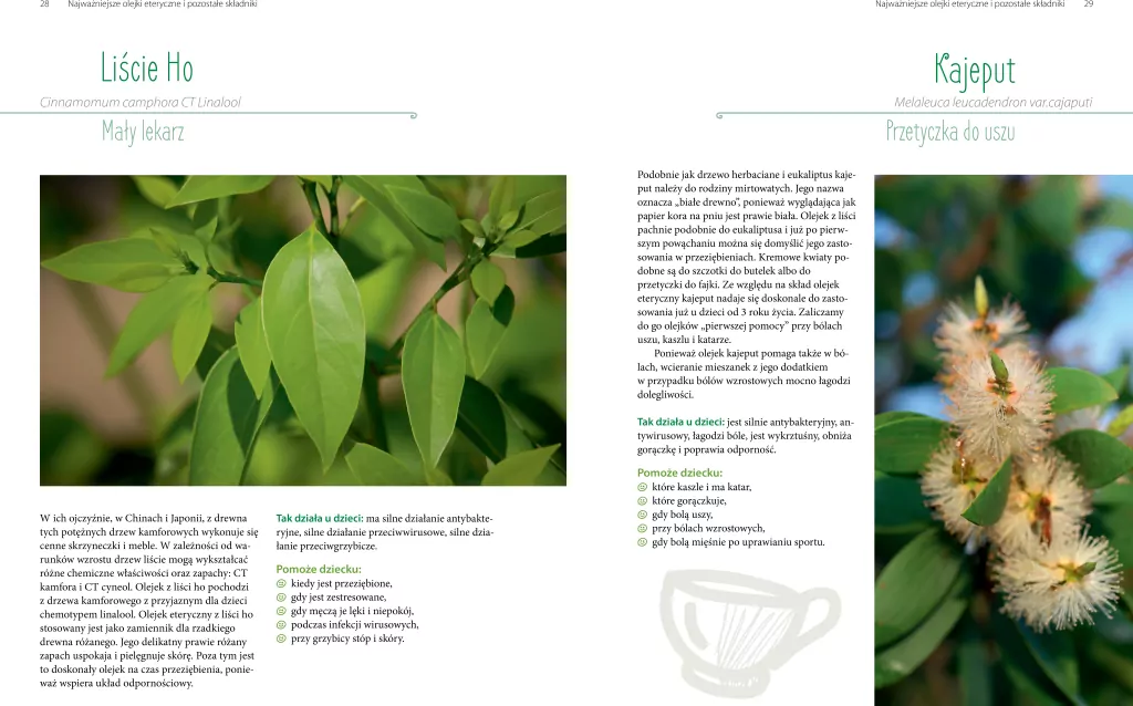 Aromaterapia dla dzieci - tantis.pl