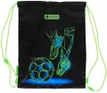 Worek na obuwie AD1 Football Motion ASTRA - tantis.pl