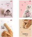 Zeszyt A5/60K kratka Purrfect Moments (10szt) - tantis.pl