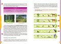 Nowe Repetytorium SP Biologia - tantis.pl