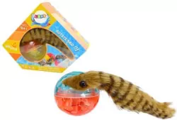 Piłka z puszystą Fretką