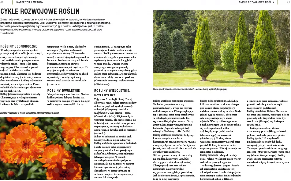 Rozmnażanie roślin. Przewodnik krok po kroku - tantis.pl