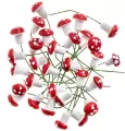 Muchomorki na druciku 30szt - tantis.pl