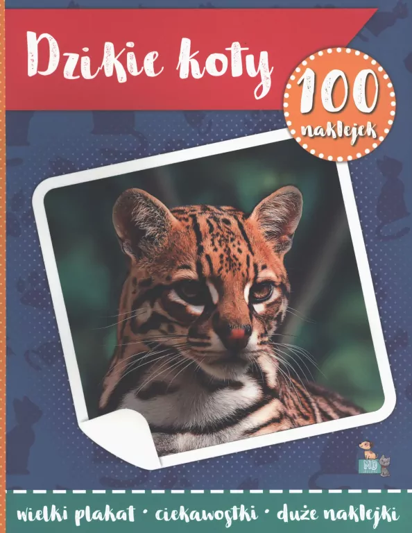 100 naklejek z plakatem. Dzikie koty - tantis.pl