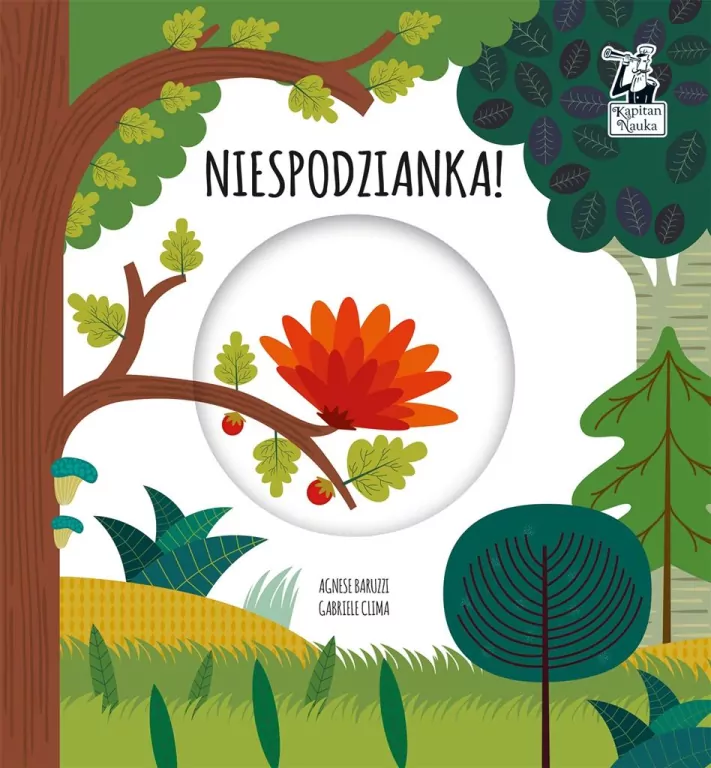 Niespodzianka. Magiczne koło. Kapitan Nauka - tantis.pl