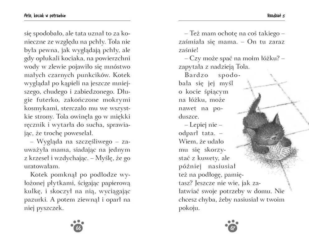 Zaopiekuj się mną. Arlo, kociak w potrzebie - tantis.pl