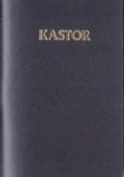 Kalendarz 2026 plastik MIX