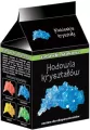 Zabawki naukowe. Hodowla kryształów. Niebieskie - tantis.pl