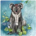 Magnes FM209 Koala - tantis.pl