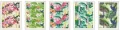 Brulion Green Typo White. A4/96K kratka. 5 sztuk - tantis.pl