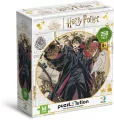 Puzzle 250 Harry Potter. Harry - tantis.pl
