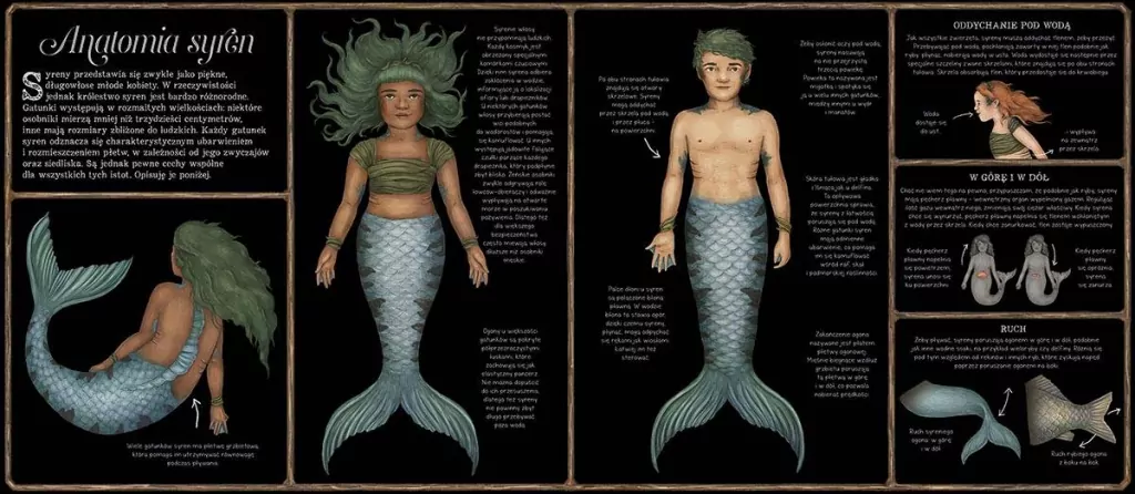 Historia naturalna syren - tantis.pl
