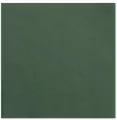Serwetki trójwarstwowe zieleń 33x33cm - tantis.pl