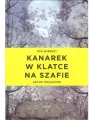 Kanarek w klatce na szafie - tantis.pl
