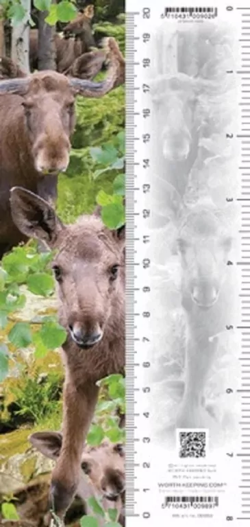 Zakładka 3D Łoś - tantis.pl