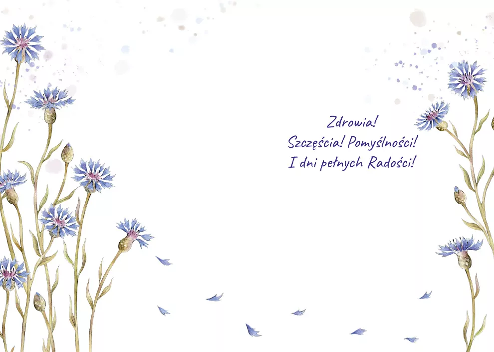 Karnet A5 Imieniny - Chabry - tantis.pl