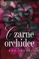Czarne orchidee - tantis.pl