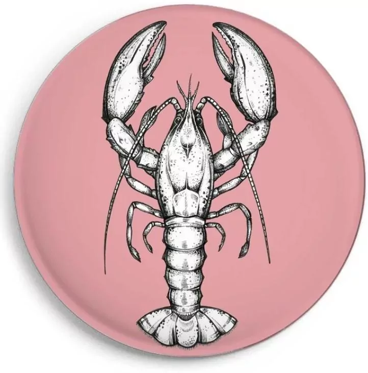 Magnes Homar - tantis.pl