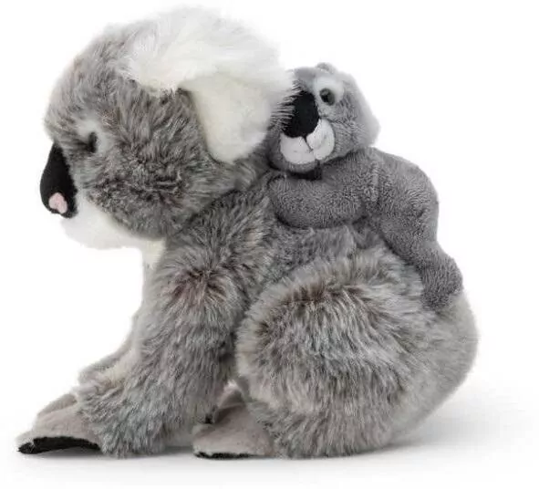 Koala z dzieckiem - tantis.pl