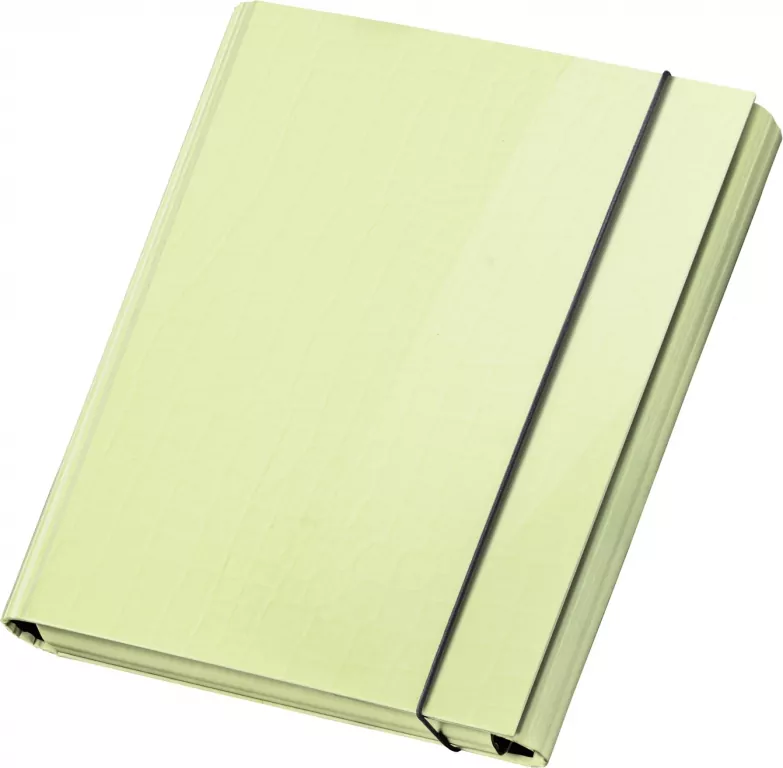 TECZKA Z GUMKA A4 SKRZYD PASTELOVE LIMON VPE1/12 - tantis.pl