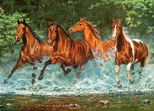 Puzzle 300. Cascade run - tantis.pl