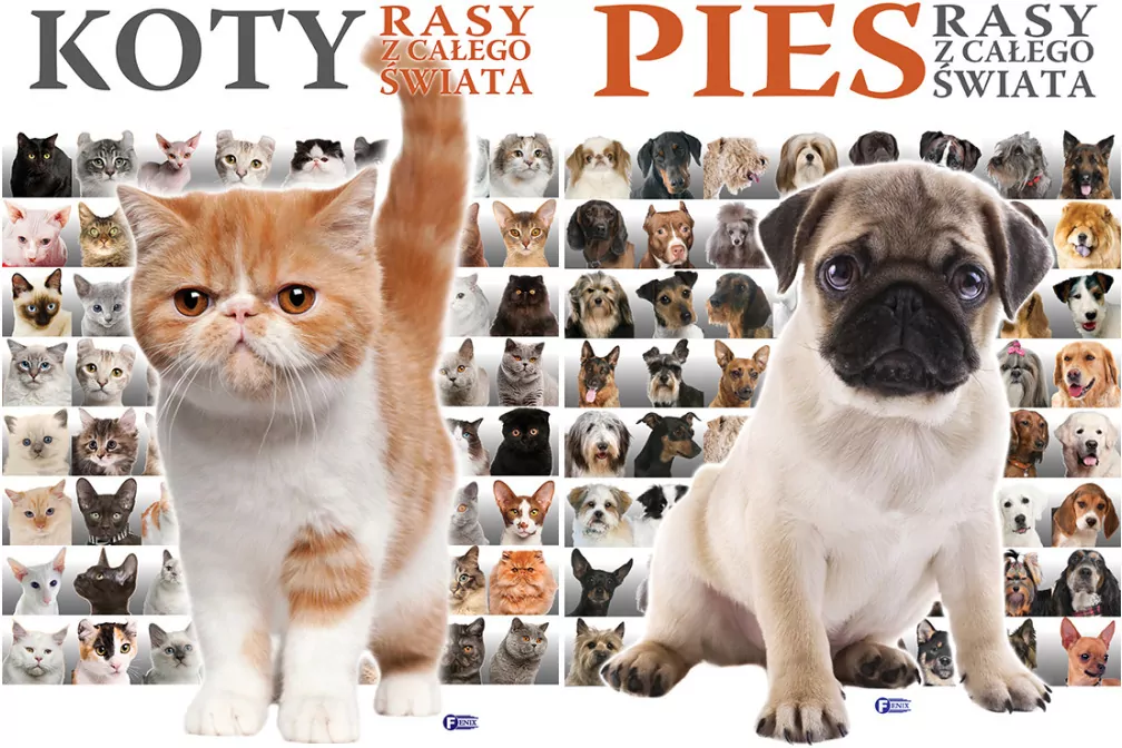 Pakiet: Koty / Pies. Rasy z całego świata - tantis.pl