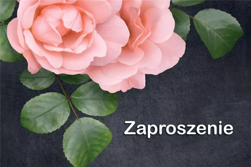 Zaproszenie Uniwersalne, 10 sztuk - tantis.pl