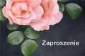 Zaproszenie Uniwersalne, 10 sztuk - tantis.pl