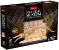 Puzzle 3D led natural museum Płetwal błękitny - tantis.pl