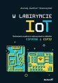 W labiryncie IoT - tantis.pl