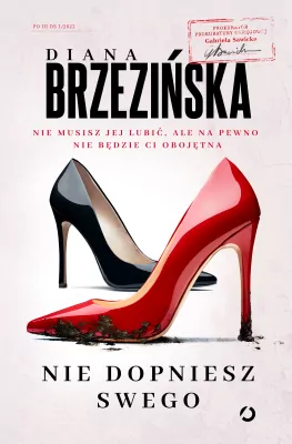 Kryminał, sensacja, thriller - Nie dopniesz swego. Prokurator Gabriela Sawicka. Tom 1