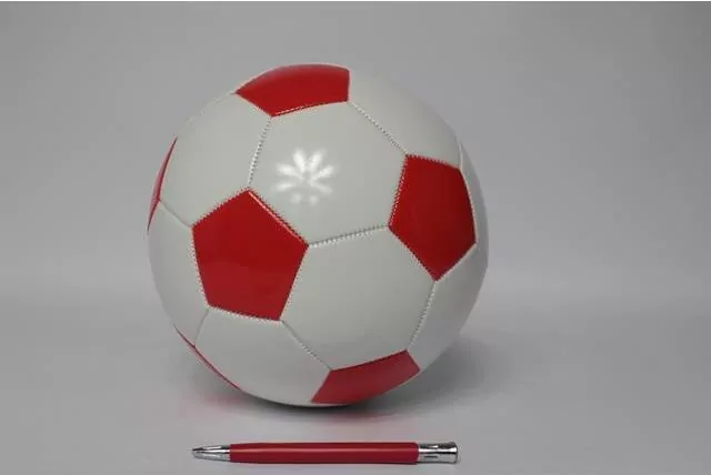 Piłka nożna. Biało-czerwona. Rozm 5. Euro 2024 - tantis.pl