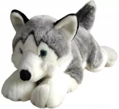 Husky 62cm - tantis.pl