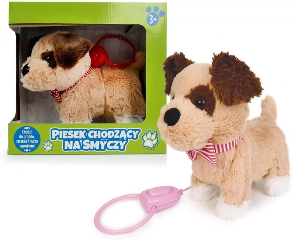 Pies chodzący na smyczy z szalikiem - tantis.pl