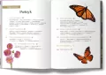Meksyk. Pascal gold - tantis.pl